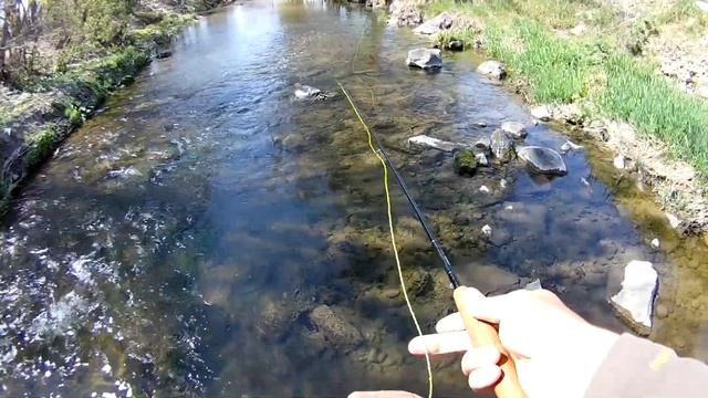 Рыбалка на Салгире. Ловим голавля на нахлыст смотреть онлайн