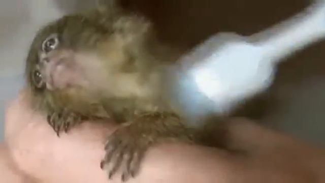 Почешите мне за ушком! смотреть онлайн