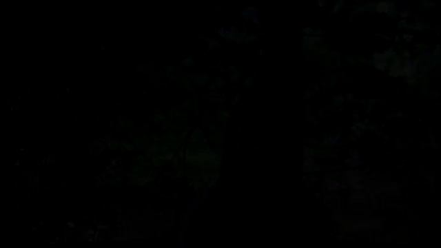 Что делать летом ? смотреть онлайн