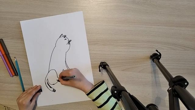 Как нарисовать кота смотреть онлайн