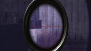 Документы Воронина на Дикой территории