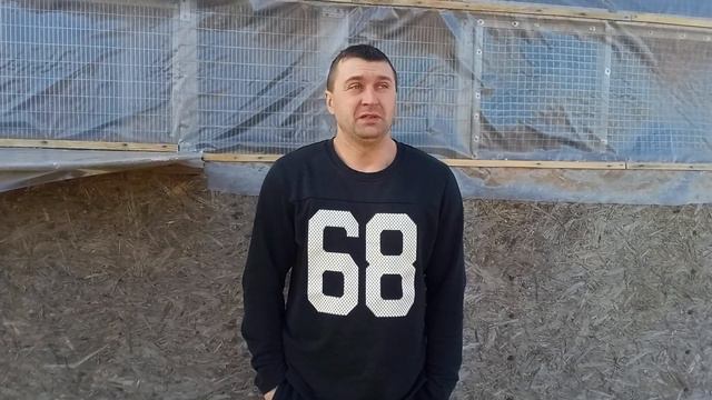 Мелитопольские голуби. Перенос Выставки - Ярмарки на 23.03.2024 в г. Мелитополь. смотреть онлайн