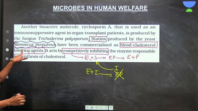 Microbes in Human Welfare | Part 1 | Class 12 | NEET Biology 2024 | Gopika смотреть онлайн