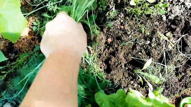 ЯГОДКА МАЛИНКА😋/РЫБНЫЙ ДЕНЬ/БОРЬБА С ПЛИТОЙ😰 смотреть онлайн