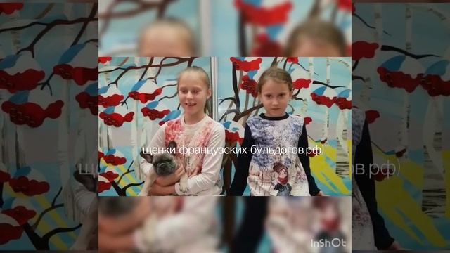 Отзыв от покупателей для нашего питомника. Москва. Французские бульдоги. MA’RUSSYA GOLD смотреть онлайн