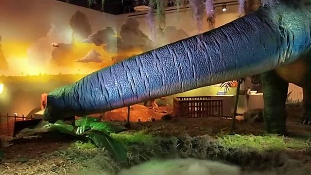 MiChiMu Dino Island Walkthrough смотреть онлайн