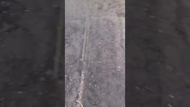 Как посадить: лук, петрушку, укроп, салат смотреть онлайн