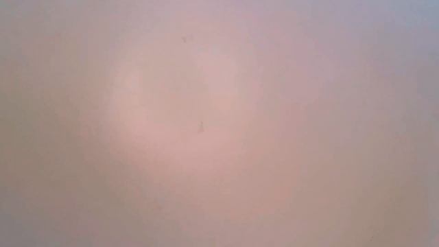 Diy Две ярких идеи для весенних поделок