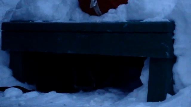 Маленький щенок испугался грузовика!!!