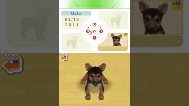 Nintendo DS ► Nintendogs ► Best Friends смотреть онлайн