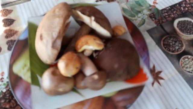 первый гриб 2019 года смотреть онлайн