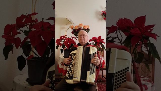 Тонкая рябина. смотреть онлайн