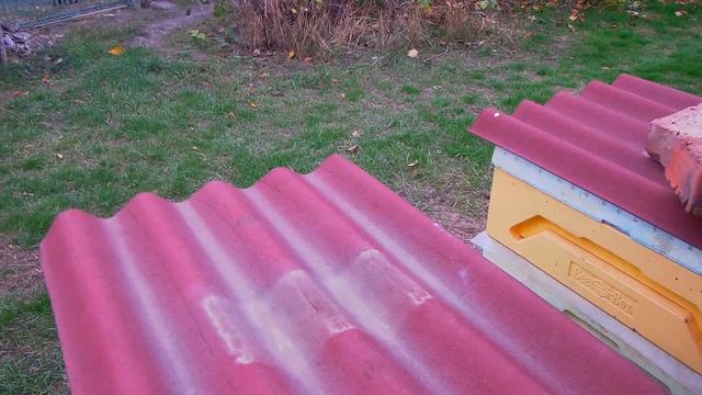 Уборка "айвы" Температурный режим в уликах !!! любительское пчеловодство смотреть онлайн