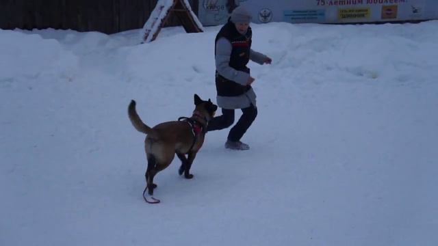 Ямаха в Созвездии Лун (Тиша), 7 месяцев смотреть онлайн