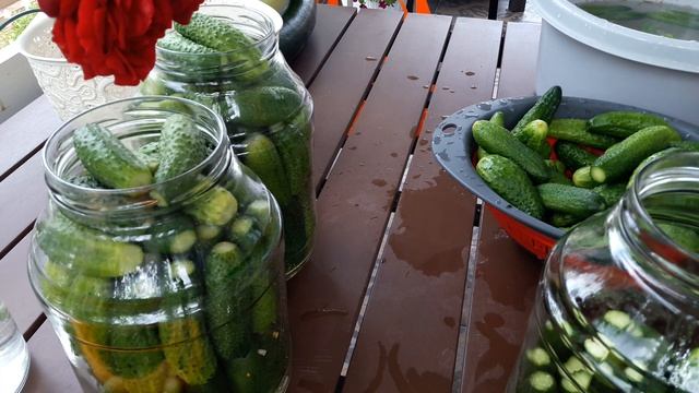 Позволяем за собой ухаживать. смотреть онлайн
