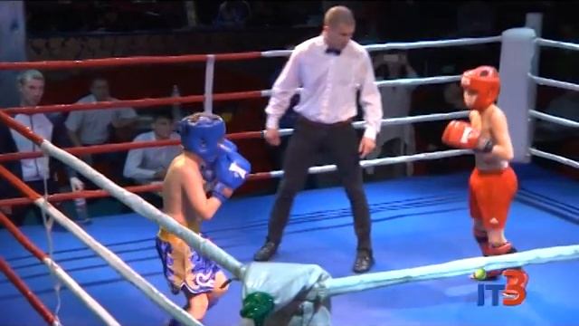 Чемпионат Одесской области по кикбоксингу смотреть онлайн