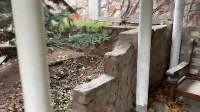 Обрезка и формировка на участке в Камышовой бухте. Часть 2 финал. смотреть онлайн