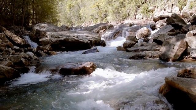 #Музыка природа #пение птиц #шум ручья снятие #стресса. смотреть онлайн