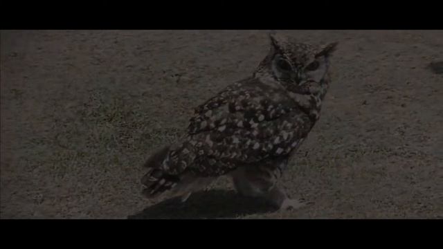 Winter ~ William Shakespeare | Powerful Poetry смотреть онлайн