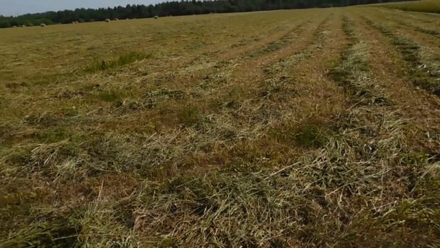 трактор т 25 и косилка виракс 1.65 ремонт! смотреть онлайн