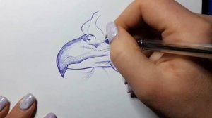 Рисуем орла. Ручка #мастеркласспорисованию #sketch