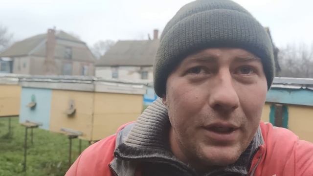 ПУТЬ ПЧЕЛОВОЖДЕНИЯ от 10 до 100 РАБОТА ИЛИ ПАСЕКА! пчеловодство типа хочу кучу финансов сразу ✅?☝️ смотреть онлайн