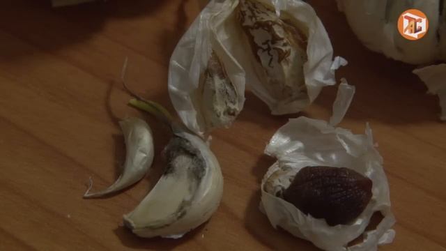 Контрольная закупка в «Пятёрочке» смотреть онлайн