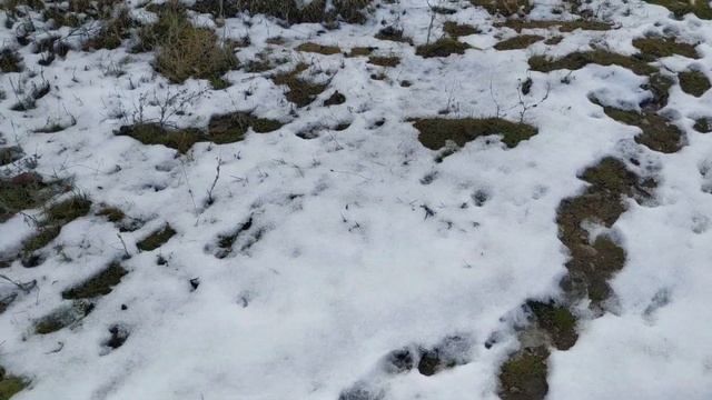 15 декабря праздник ДЕНЬ АВВАКУМА . народные приметы и традиции смотреть онлайн