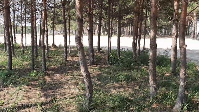 АКВАМАРИН РЯЗАНЬ ДУБРОВИЧИ #сергейтелков смотреть онлайн