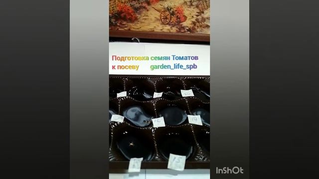 Подготовка семян Томатов ? к посеву смотреть онлайн