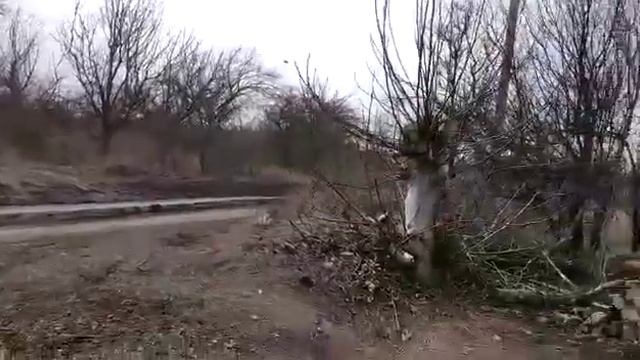 Сходила к председателю СНТ, заплатила взносы. Тружусь дальше.! смотреть онлайн