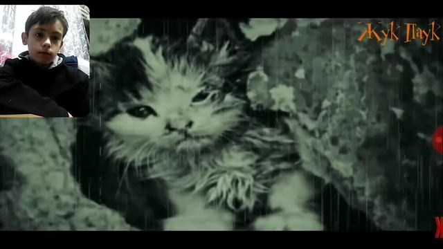 Самое грустное видео. Умирающий кот. ????? смотреть онлайн