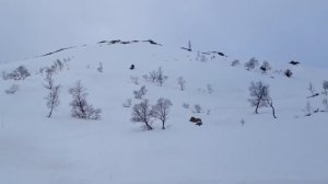 Ski-doo grand touring 800se