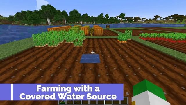 The Ultimate Minecraft 1.20 Crop Farming Guide - Tips and Tricks to Efficiently Grow Food смотреть онлайн