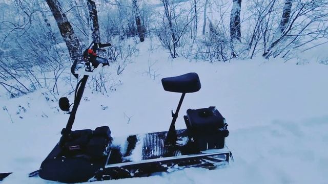 Тюнинг мотоснегоката 