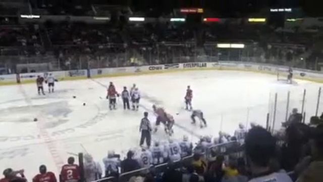Peoria Rivermen vs. Rockford IceHogs brawl. смотреть онлайн