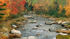 Enigma ft. Deep Forest - Inception / Энигма и Дип Форест - Начало