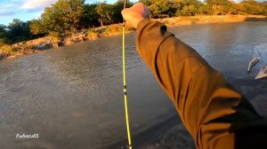 РЫБАЛКА НА  РЕКЕ ТЕРЕК. ПЕРВЫЙ ДЕНЬ ОСЕНИ. РЫБАЛКА В ДАГЕСТАНЕ.