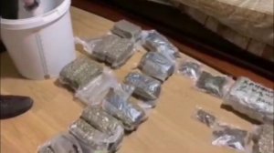 В Москве полицейские изъяли из незаконного оборота свыше 105 килограммов марихуаны