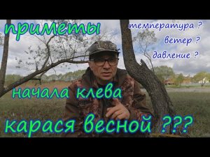 Когда карась начинает клевать по весне.