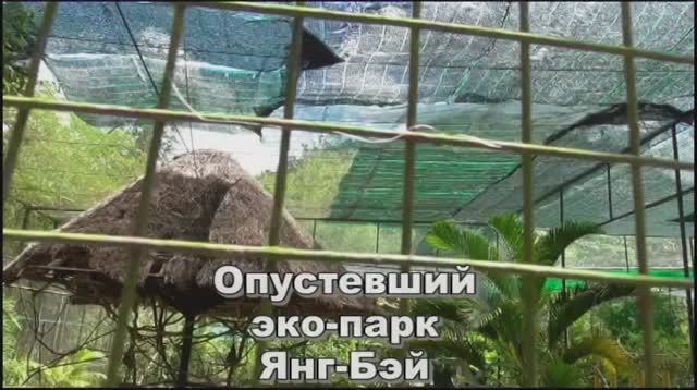 Янг-Бэй 6 смотреть онлайн