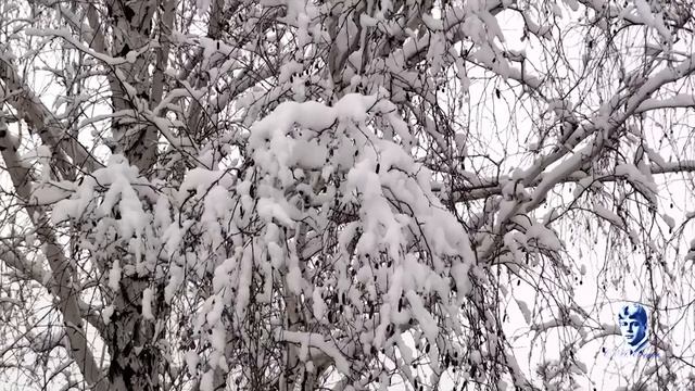 Белая берёза,под моим окном (С.Есенин) смотреть онлайн