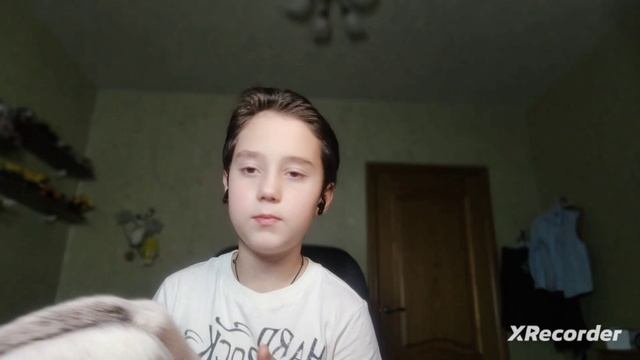 Обзор на БАСИКА (basic & Co)