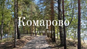 Поездка в Комарово: единение с природой и отличное место для семейного отдыха