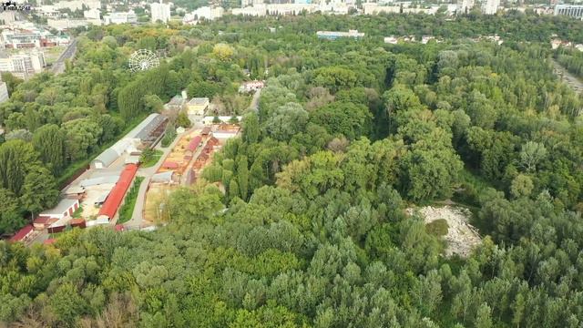 Липецкий триатлон 2022 смотреть онлайн