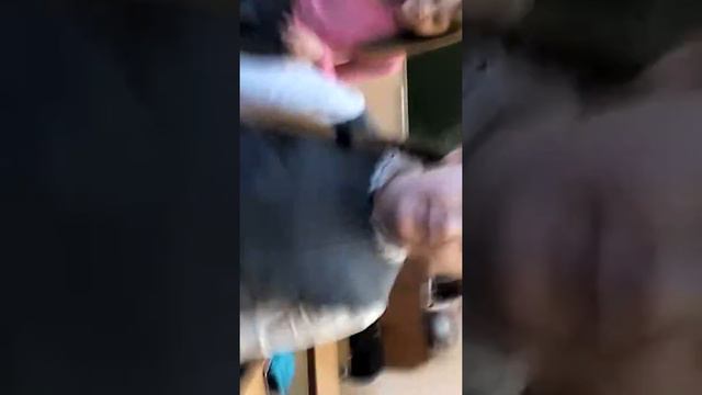 Моя школа(та) #1 смотреть онлайн