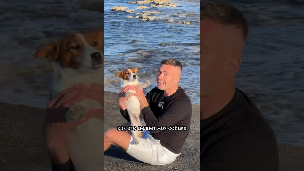 что делать на Кипре? #северныйкипр #недвижимость #переезд #заграница #инвестиции #домуморя #внж смотреть онлайн