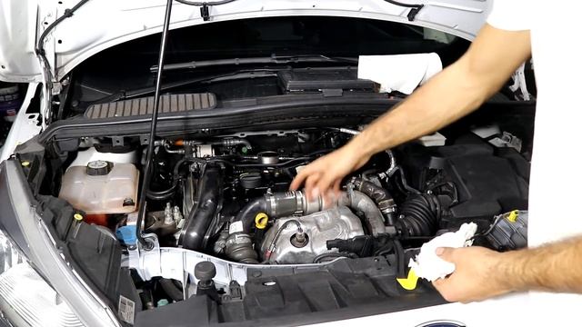 Cambio De Aceite Y Filtro Combustible Ford Grand C-max 1.5TDCI 120cv Duratorq