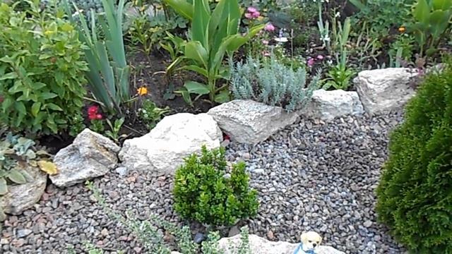 ОБЗОР ДАЧИ . ПОСЛЕДНИЙ ДЕНЬ ЛЕТА. смотреть онлайн