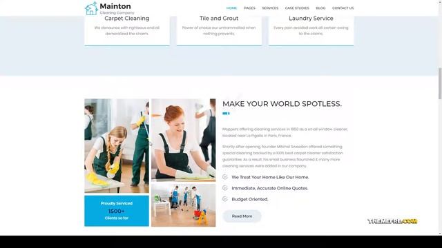 Mainton - Cleaning Services WordPress Theme house cleaning company Build Website смотреть онлайн